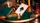NOC Out: Green and Gold Playing Cards - image 1