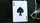 NOC Out: White Playing Cards - image 5