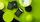 NOC Tropic Green Colorgrades Playing Cards - image 4