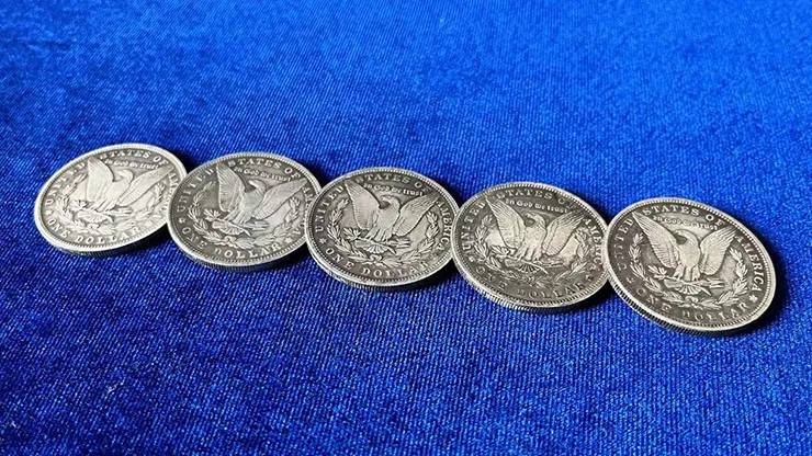 Normal Morgan Coin - image 2