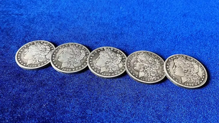 Normal Morgan Coin - image 1