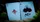 ONDA Aquamarine Playing Cards - image 2