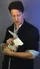 Origami Effect - image 3