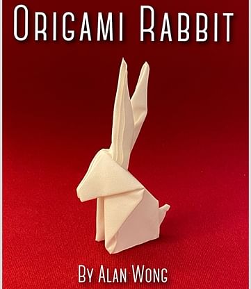 https://vinc.gumlet.io/gallery/photos/origami-rabbit.jpg