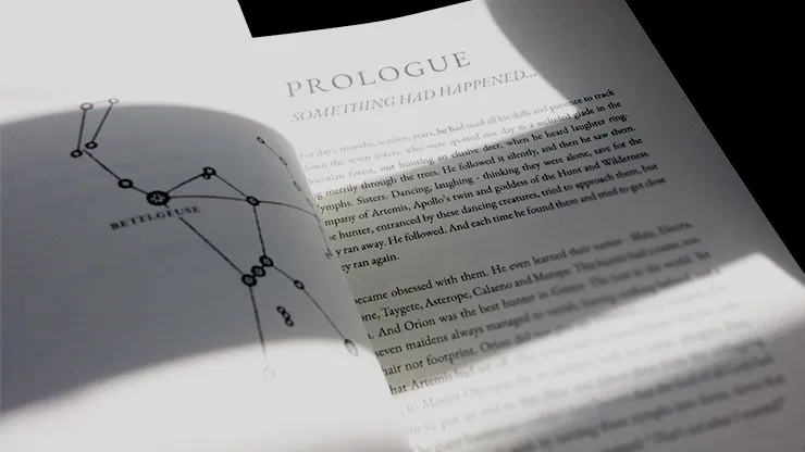 Orion: Bronze Edition - image 9