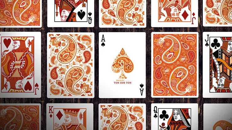Paisley Ton sur Ton Poudre Orange Foil Designer's Choice - image 3