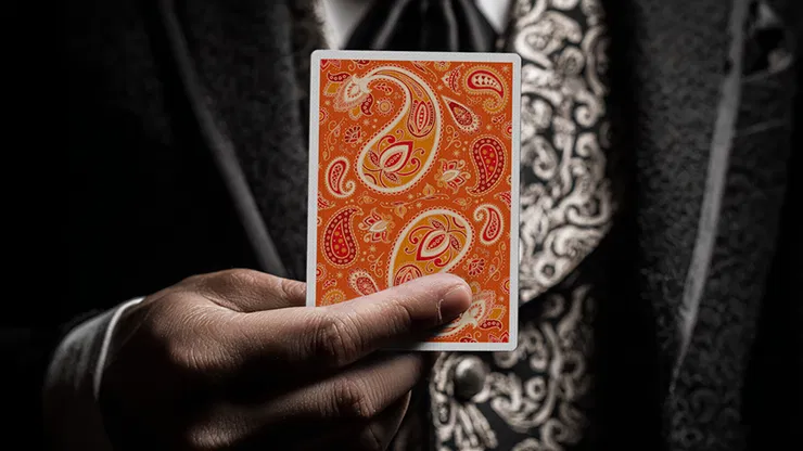 Paisley Ton sur Ton Poudre Orange Foil Designer's Choice - image 4