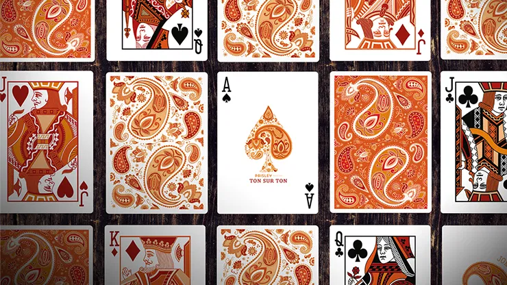 Paisley Ton sur Ton Poudre Orange workers Deck - image 3