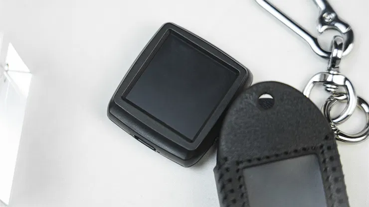 PITATA Palm Peeker Keychain Case - image 6