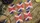 Paper Kings Playing Cards Jelly Cardistry Trainers - image 1