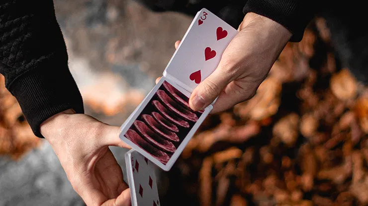 Parallax Playing Cards - image 4