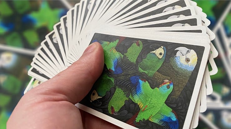 Parrot Prototype Playing Cards - thumbnail 2