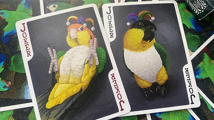 Parrot Prototype Playing Cards - thumbnail 3