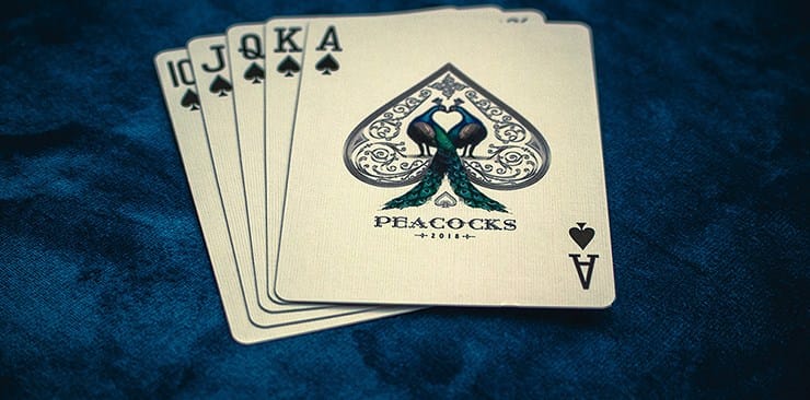Peacocks Playing Cards - thumbnail 10