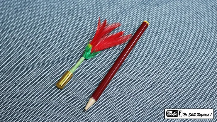 Pencil to Flower