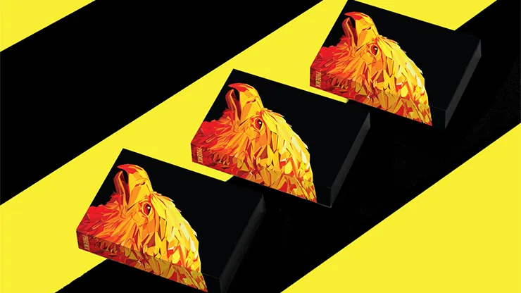 Phoenix Playing Cards (Riffle Shuffle) - image 6