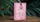 Pink Chancers Playing Cards - image 2