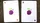 Plum Pi Playing Cards - image 3