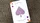 Plum Pi Playing Cards - image 4