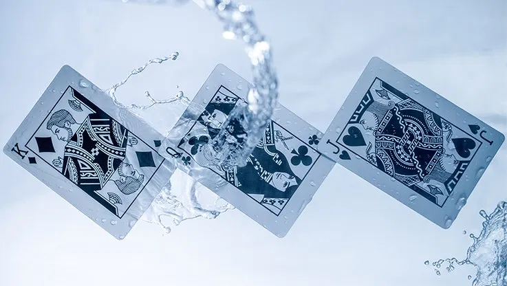 Polyantha Marked Playing Cards - image 4