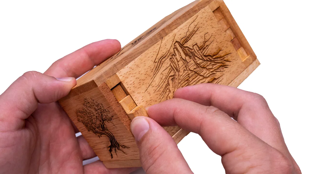 Premium Secret Lock Box Puzzle - image 1