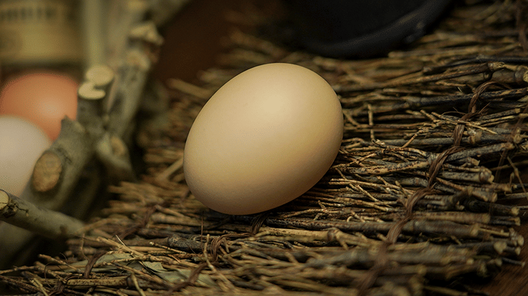 Premium Silk to Egg - thumbnail 3