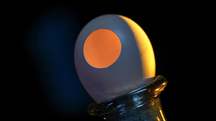 Premium Silk to Egg - thumbnail 4