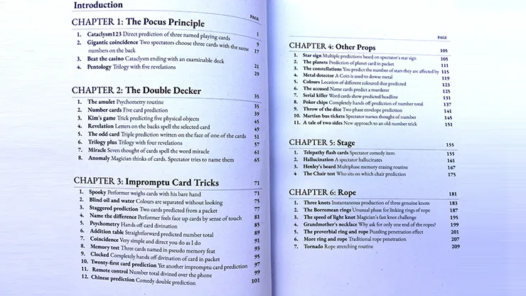 Prestidigitator - image 3