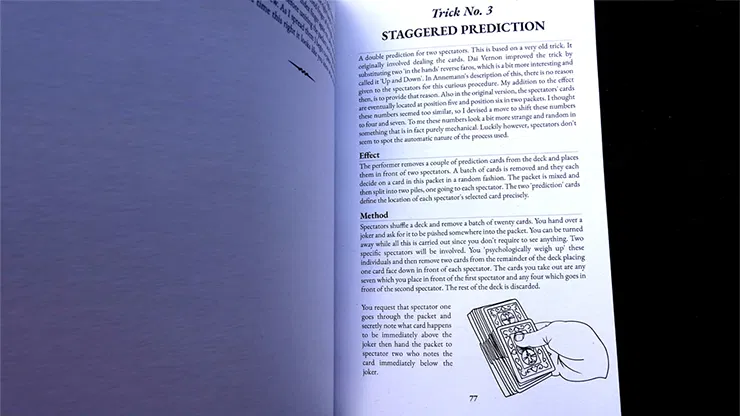 Prestidigitator - image 4