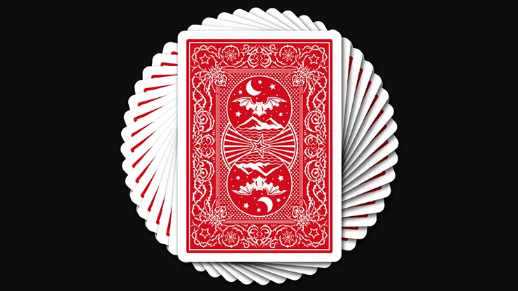 Pro Edition Night Flight Playing Cards - image 2