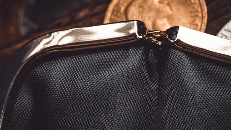 Professional Coin Purse - image 5
