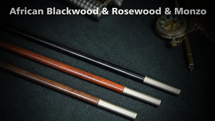 Professional Magic Wand 2.0 - image 2