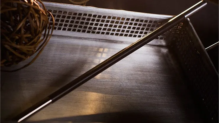 Professional's Magic Wand - image 2