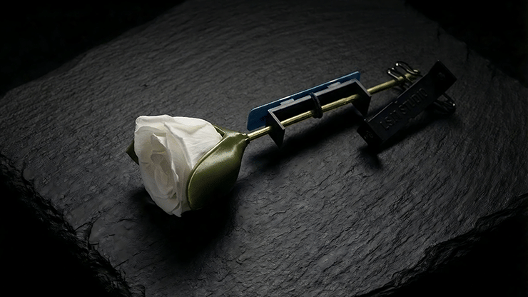 Project H: Rose Holder - thumbnail 3