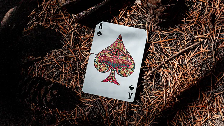 Psychonauts Playing Cards - image 4
