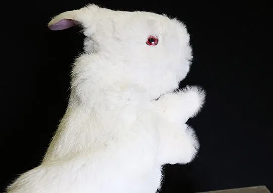 Rabbit Hand Puppet - image 3