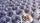 Random Walk
