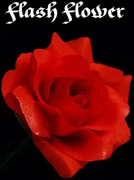 Red Flash Flower - - image 2