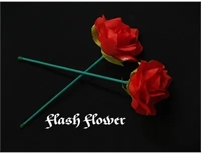 Red Flash Flower - - image 1