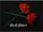 Red Flash Flower - - image 1