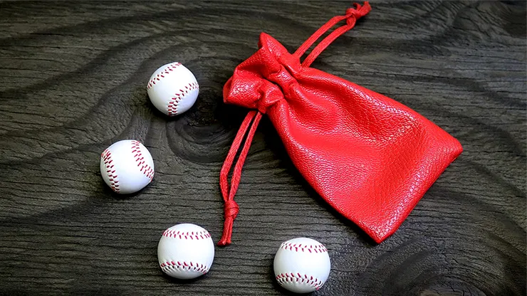 Set of 4 Leather Balls