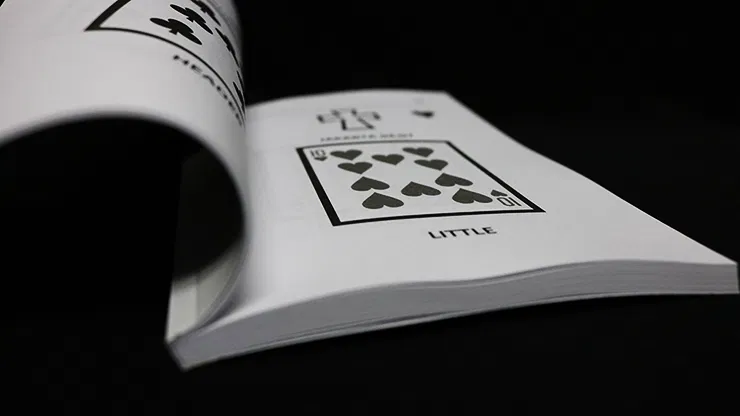 Remote Viewing Manual Book Test - image 2