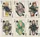 Bicycle Runic Royalty Playing Cards - image 3