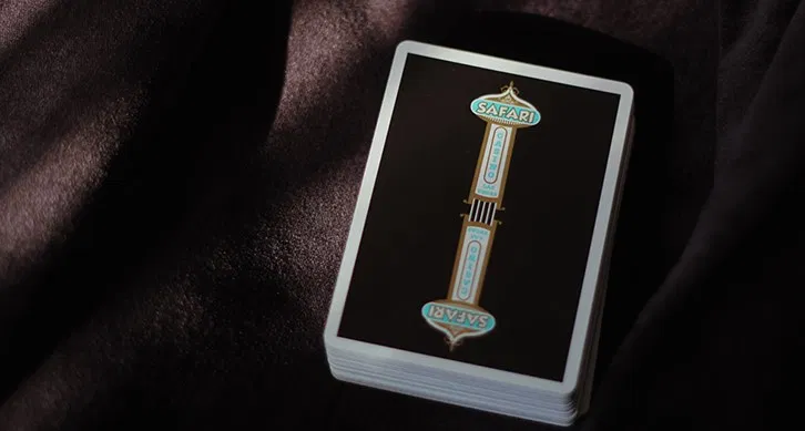 Safari Casino Black Playing Cards - image 4