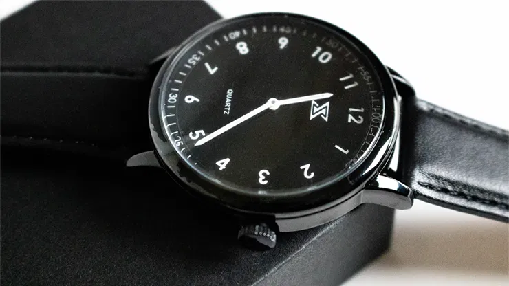 SB Watch - image 2