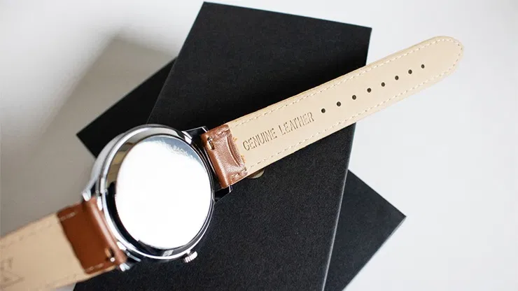 SB Watch - image 7
