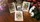 Scenic Edition Wild Garden Playing Cards - image 5