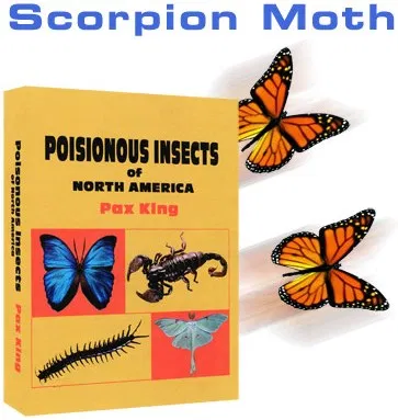 Scorpion Moth