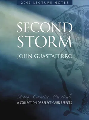 Second Storm Ebook