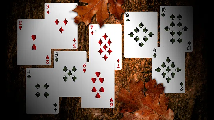 Secret Tale of Robin Hood Playing Cards (Black Owl Edition) - image 6